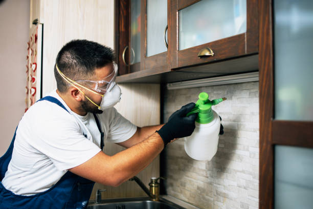 Best Exterminator Services  in Willard, OH