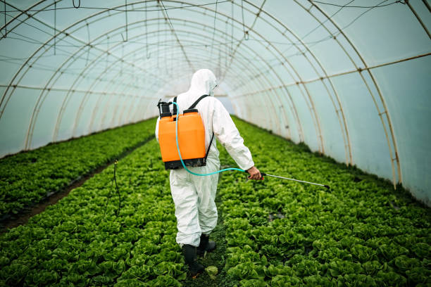 Best Affordable Exterminators  in Willard, OH