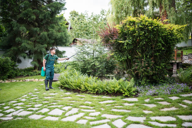 Professional Pest Control in Willard, OH
