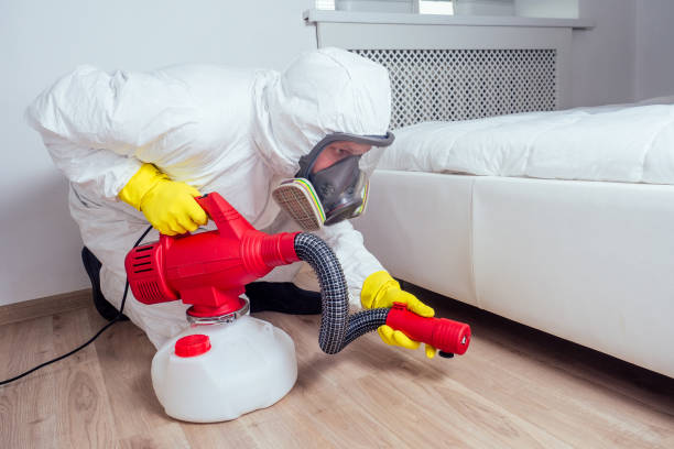 Best Mosquito Control Services  in Willard, OH
