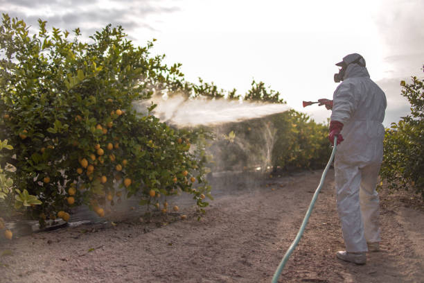 Best Best Pest Control Companies  in Willard, OH